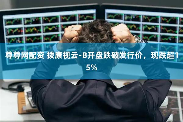 尊尊网配资 拨康视云-B开盘跌破发行价，现跌超15%