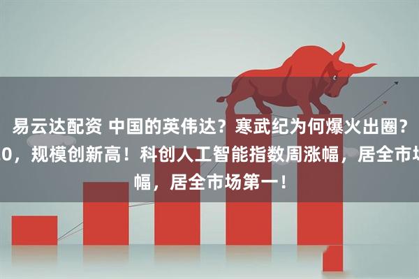 易云达配资 中国的英伟达？寒武纪为何爆火出圈？589520，规模创新高！科创人工智能指数周涨幅，居全市场第一！